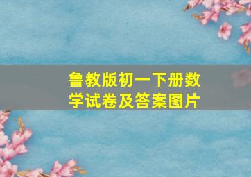 鲁教版初一下册数学试卷及答案图片