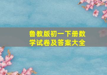 鲁教版初一下册数学试卷及答案大全