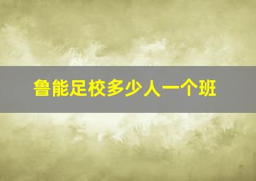 鲁能足校多少人一个班