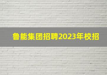 鲁能集团招聘2023年校招