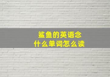 鲨鱼的英语念什么单词怎么读