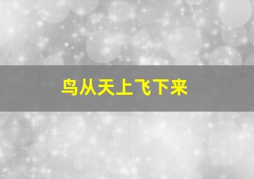 鸟从天上飞下来