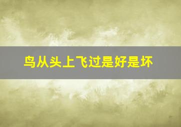 鸟从头上飞过是好是坏