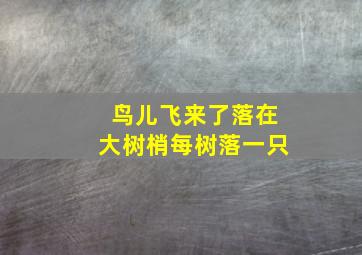 鸟儿飞来了落在大树梢每树落一只