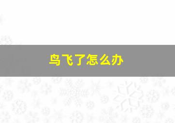 鸟飞了怎么办