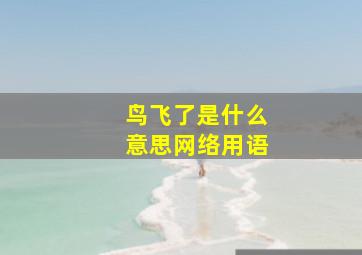 鸟飞了是什么意思网络用语