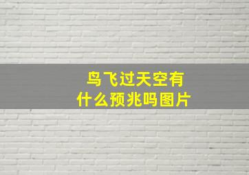 鸟飞过天空有什么预兆吗图片