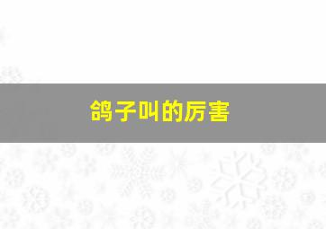 鸽子叫的厉害