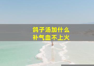 鸽子汤加什么补气血不上火