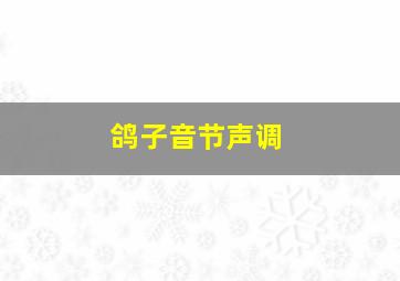 鸽子音节声调