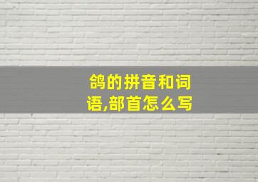 鸽的拼音和词语,部首怎么写