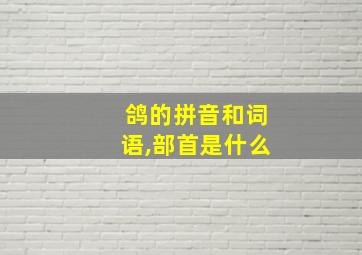 鸽的拼音和词语,部首是什么