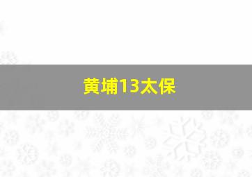 黄埔13太保