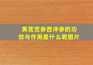 黄芪党参西洋参的功效与作用是什么呢图片