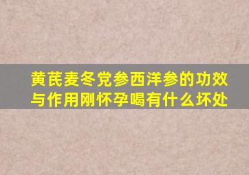 黄芪麦冬党参西洋参的功效与作用刚怀孕喝有什么坏处