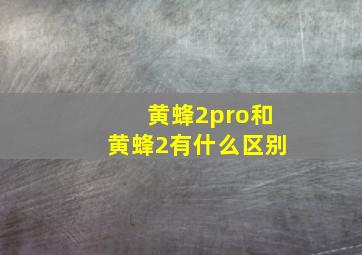 黄蜂2pro和黄蜂2有什么区别