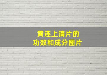 黄连上清片的功效和成分图片