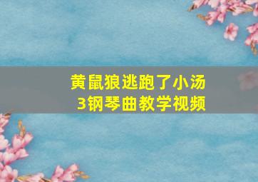 黄鼠狼逃跑了小汤3钢琴曲教学视频