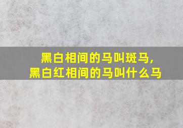 黑白相间的马叫斑马,黑白红相间的马叫什么马