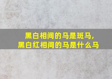 黑白相间的马是斑马,黑白红相间的马是什么马