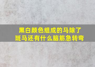 黑白颜色组成的马除了斑马还有什么脑筋急转弯