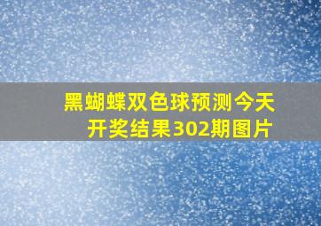 黑蝴蝶双色球预测今天开奖结果302期图片