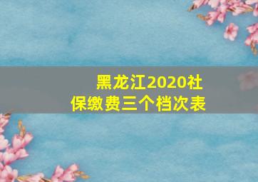 黑龙江2020社保缴费三个档次表