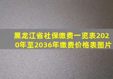 黑龙江省社保缴费一览表2020年至2036年缴费价格表图片