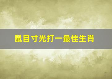 鼠目寸光打一最佳生肖