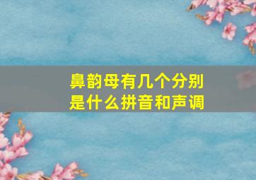 鼻韵母有几个分别是什么拼音和声调