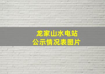 龙家山水电站公示情况表图片