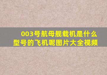 003号航母舰载机是什么型号的飞机呢图片大全视频