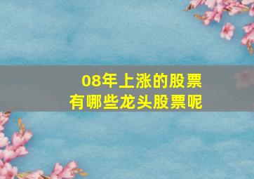 08年上涨的股票有哪些龙头股票呢