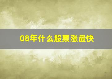 08年什么股票涨最快