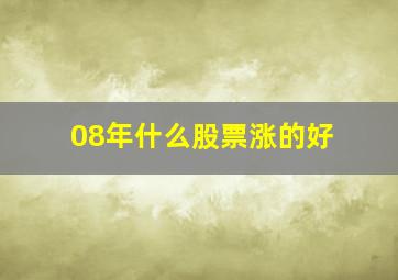 08年什么股票涨的好