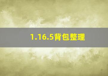 1.16.5背包整理