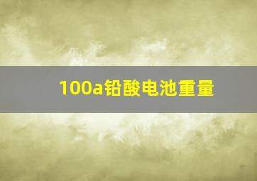 100a铅酸电池重量