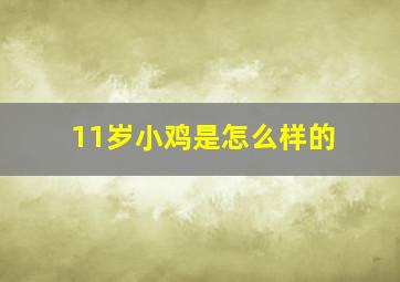 11岁小鸡是怎么样的