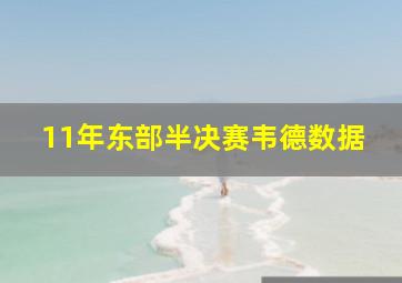 11年东部半决赛韦德数据