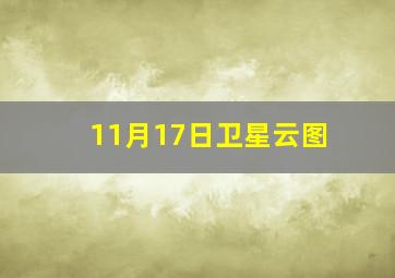 11月17日卫星云图