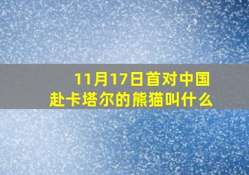 11月17日首对中国赴卡塔尔的熊猫叫什么