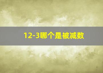 12-3哪个是被减数