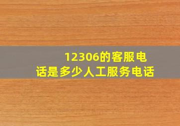 12306的客服电话是多少人工服务电话