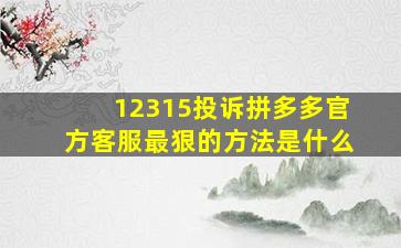 12315投诉拼多多官方客服最狠的方法是什么