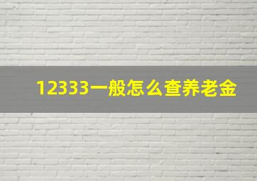 12333一般怎么查养老金