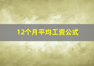 12个月平均工资公式