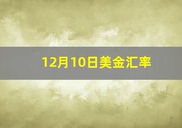 12月10日美金汇率