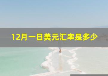 12月一日美元汇率是多少