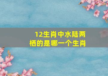 12生肖中水陆两栖的是哪一个生肖