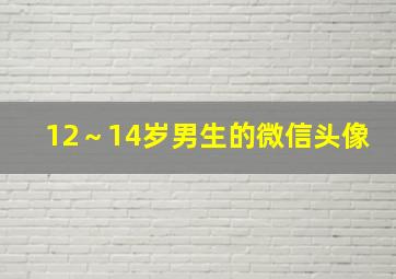 12～14岁男生的微信头像